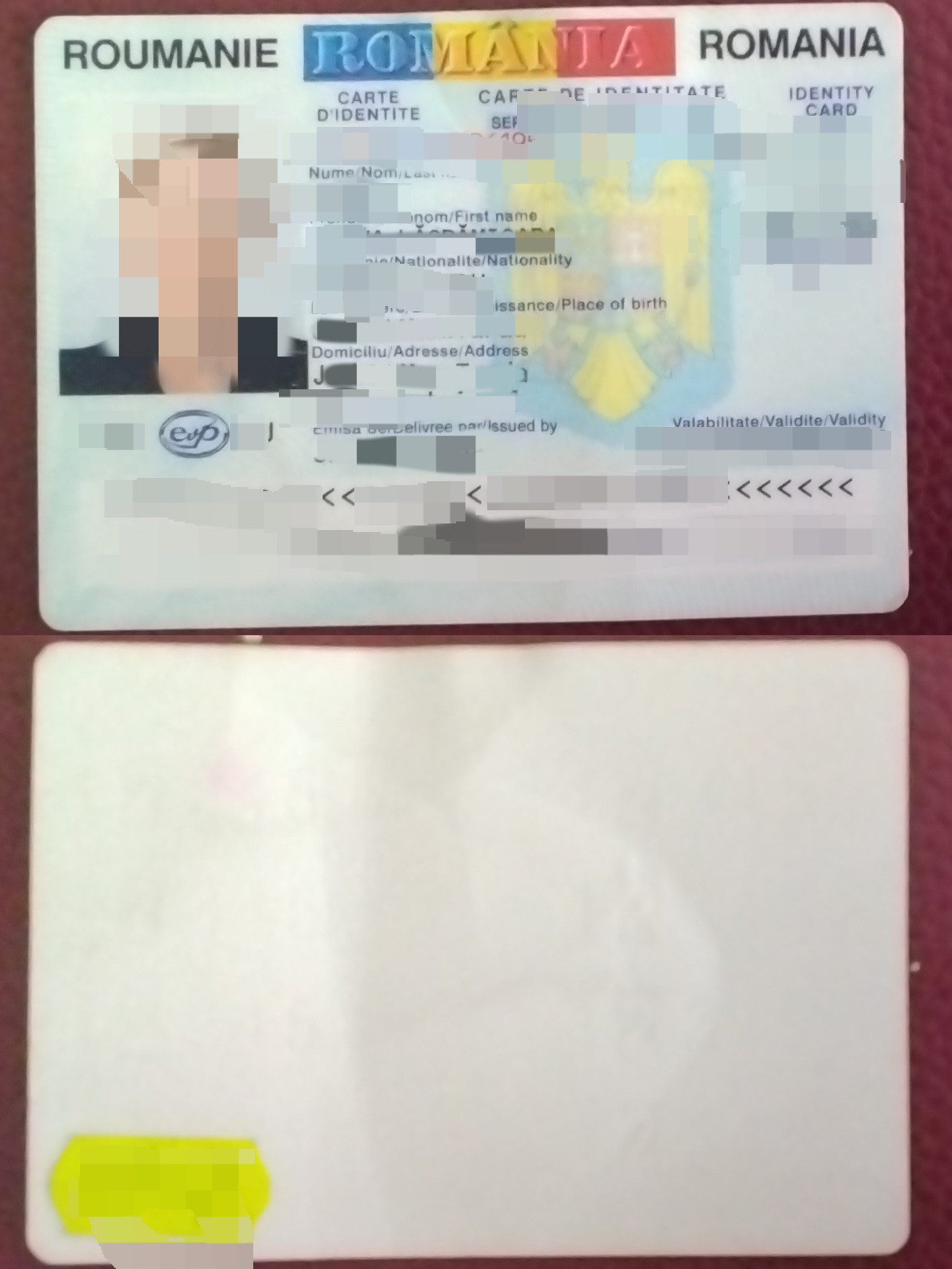 image (12).png